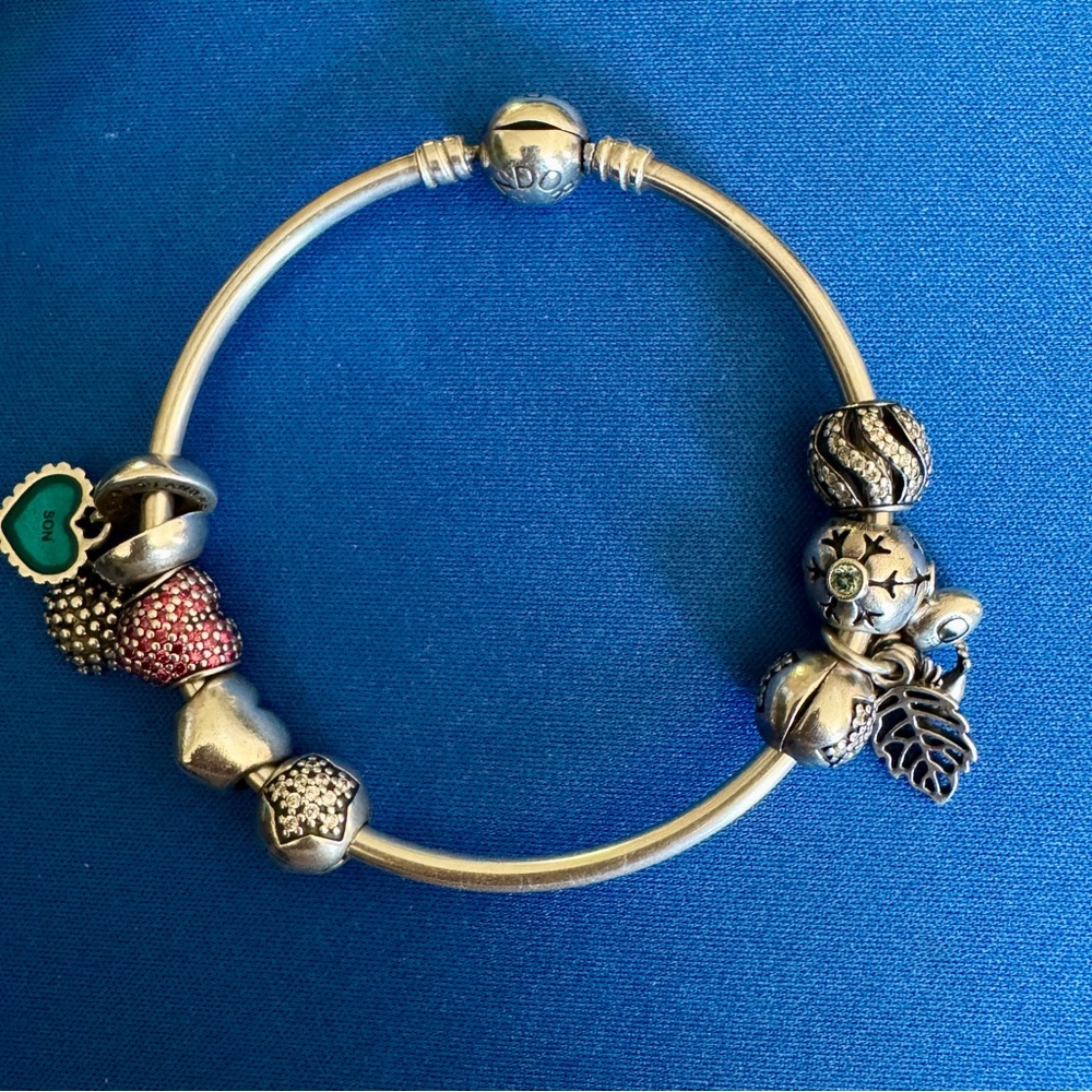 Pandora Silver Charm Bracelet with eight unique charms.